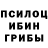 Псилоцибиновые грибы Psilocybine cubensis Erin Holleran
