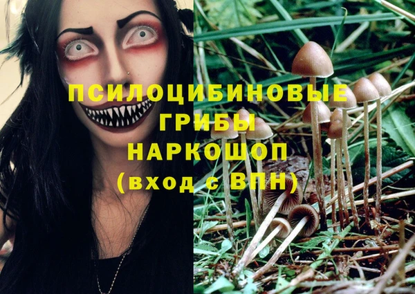 крисы Алзамай