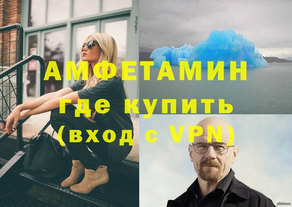 крисы Алзамай