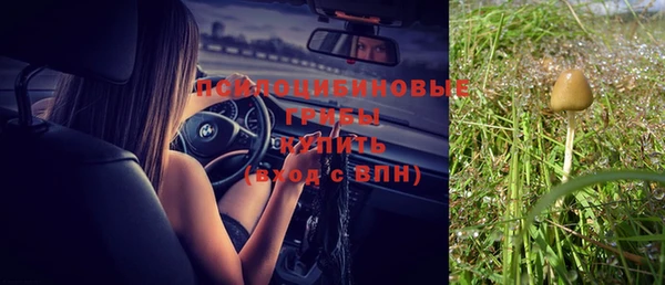 Альфа ПВП Алексин