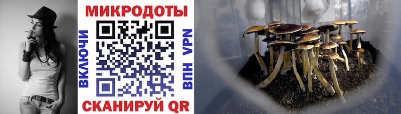Купить где  Комсомольск  Галлюциногенные грибы Psilocybe 